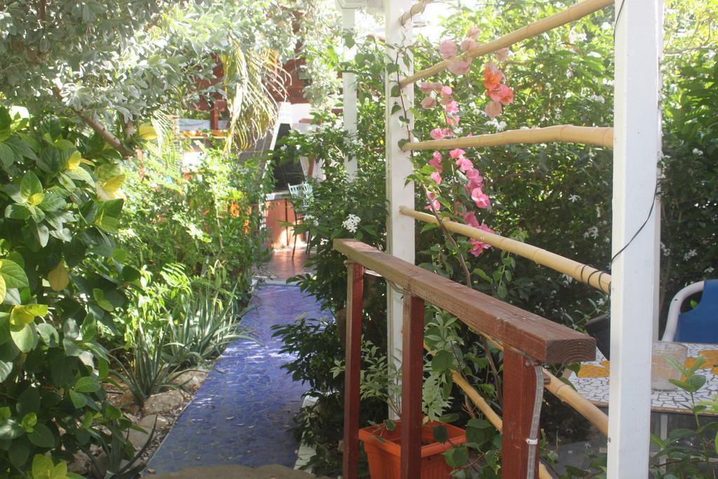 Sunflower Villa Studios Palm Beach Luaran gambar