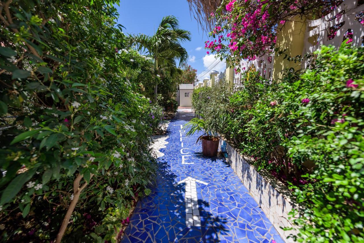 Sunflower Villa Studios Palm Beach Luaran gambar