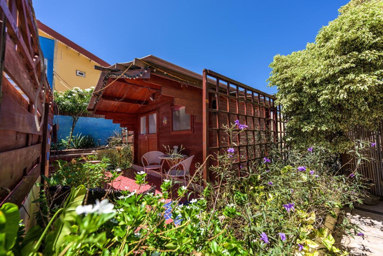 Sunflower Villa Studios Palm Beach Luaran gambar